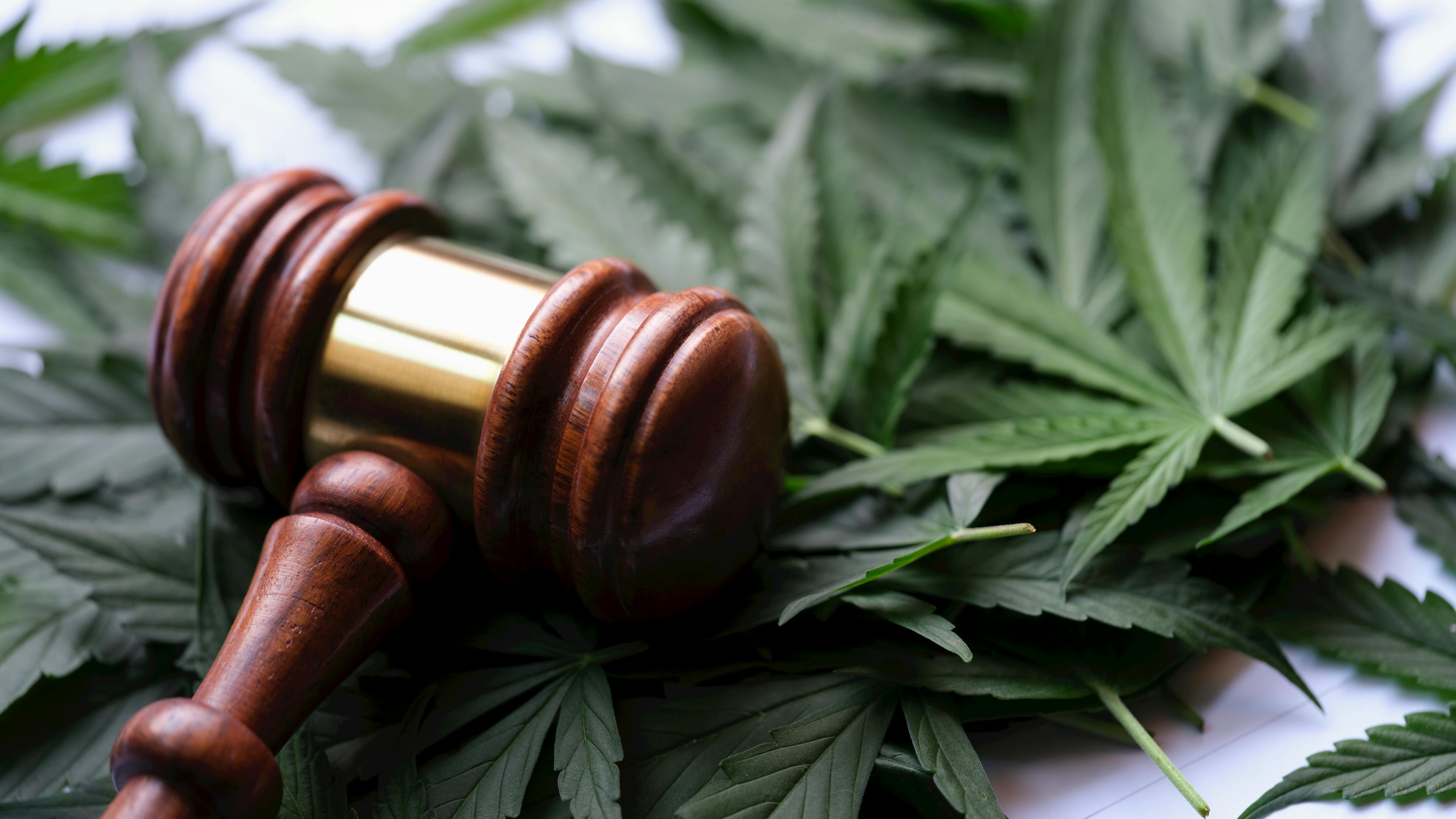 Cannabis Rescheduling: What Schedule III Means for Industry