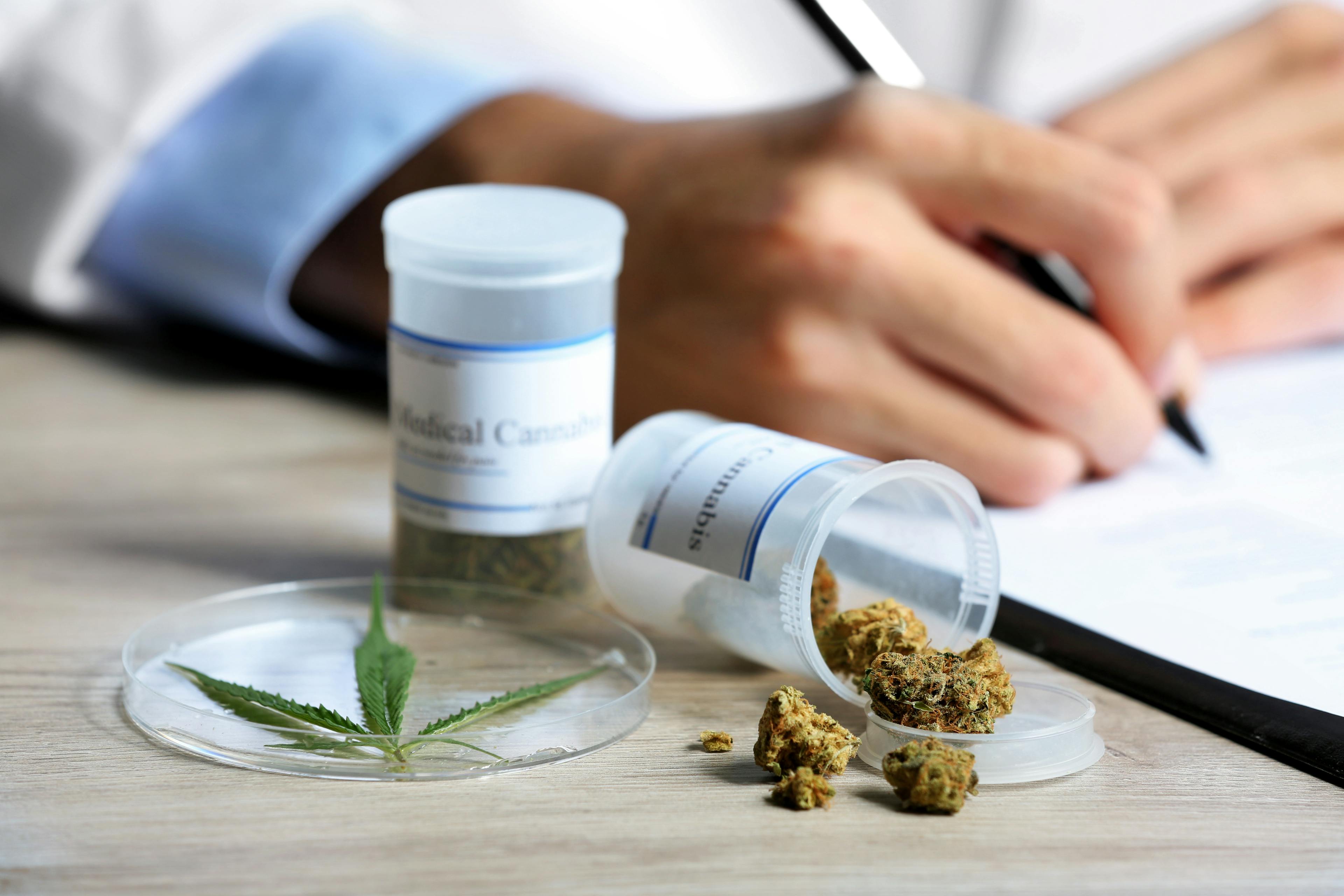 A Comprehensive Guide to Jobs in the Medical Cannabis Industry: How to Get In and Be Successful