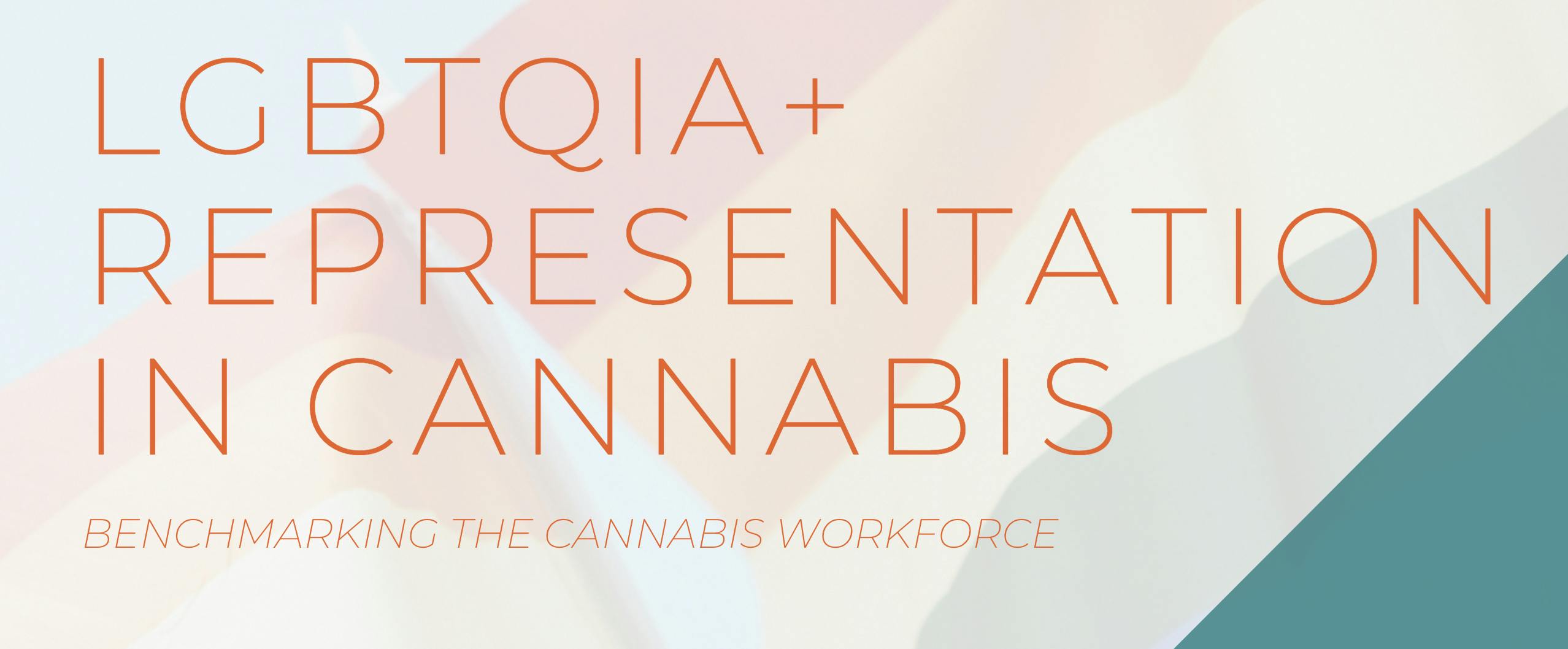 A Vangst analysis of LGBTQ+ representation in the cannabis workforce 